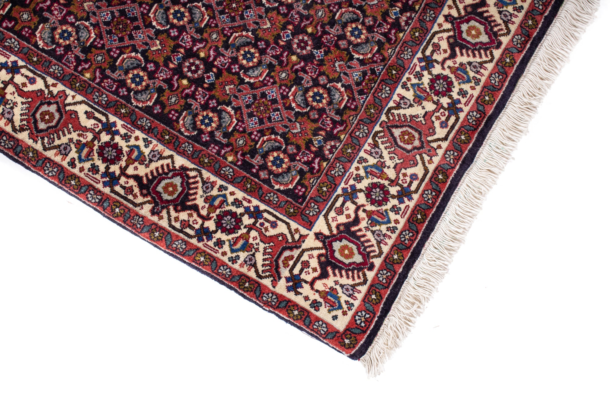 Persia Bidjar Rug <br> 3'7' x 5'5'