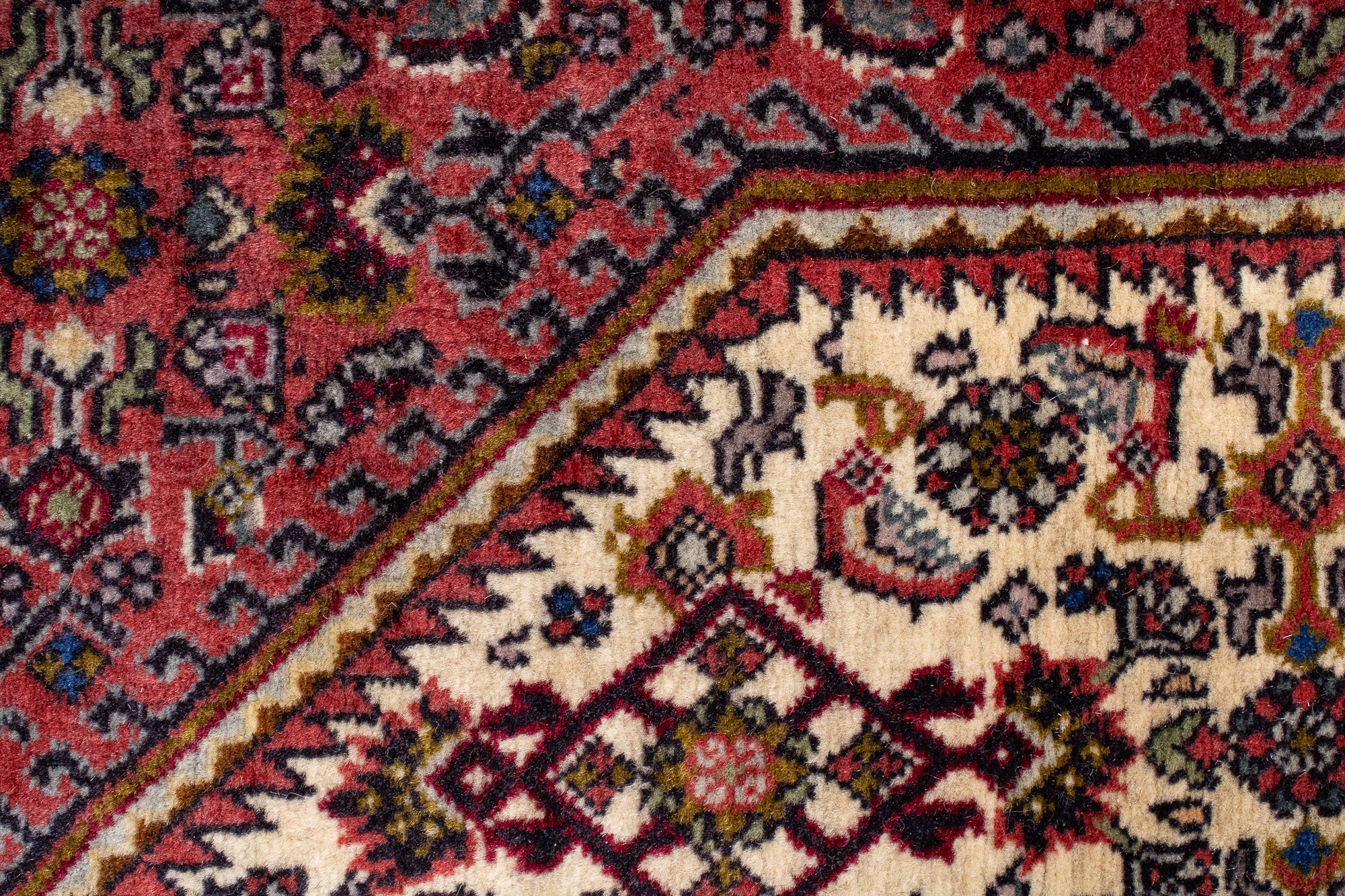 Persia Bidjar Rug <br> 3'7' x 5'5'