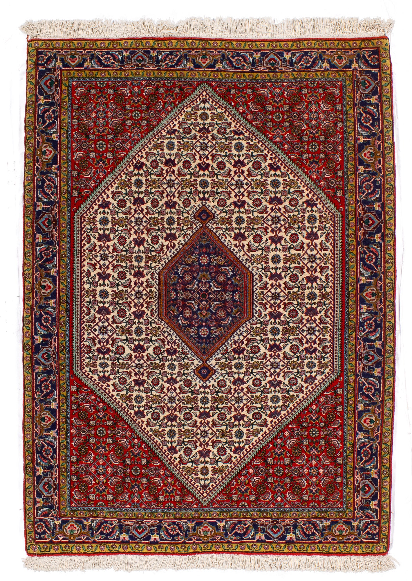 Persia Bidjar Rug <br> 3'11' x 5'5'