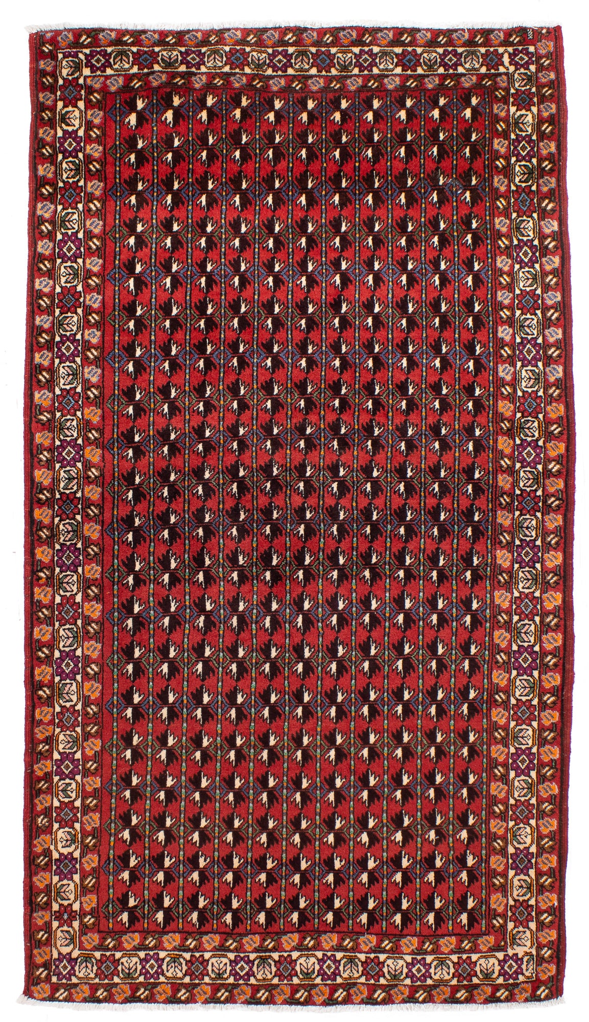 Persia Balouch Rug <br> 4'0' x 7'2'